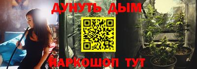 индика Кунгур