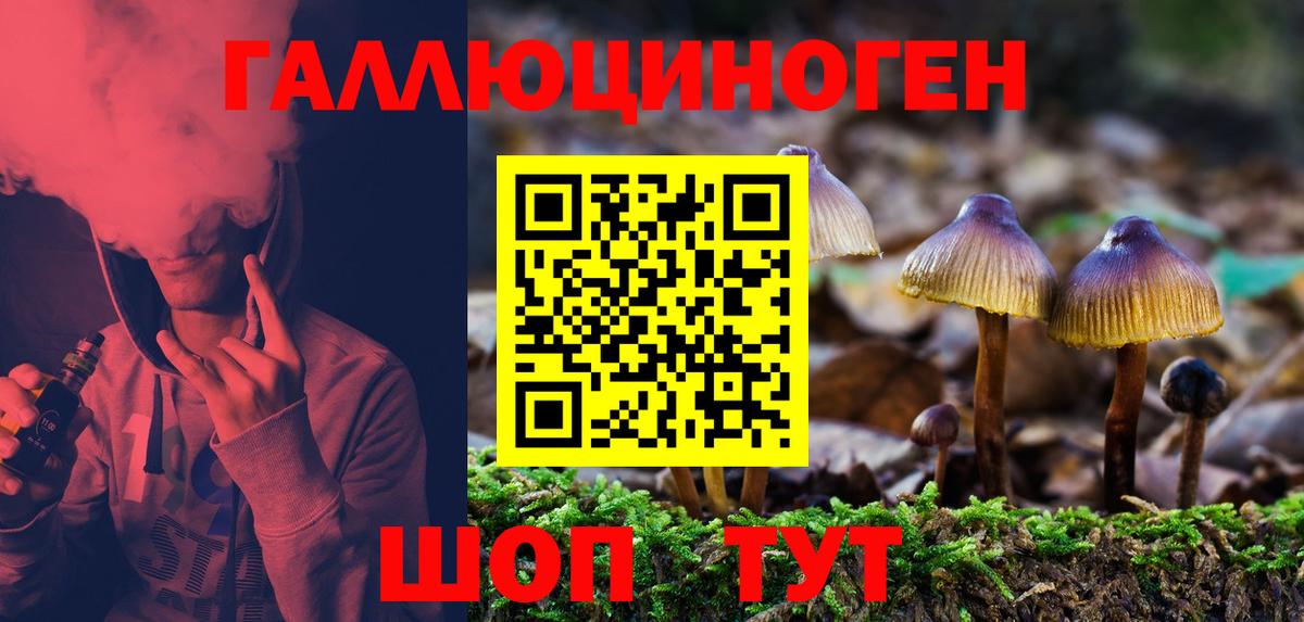 Галлюциногенные грибы Cubensis Дедовск